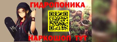 apvp Кандалакша