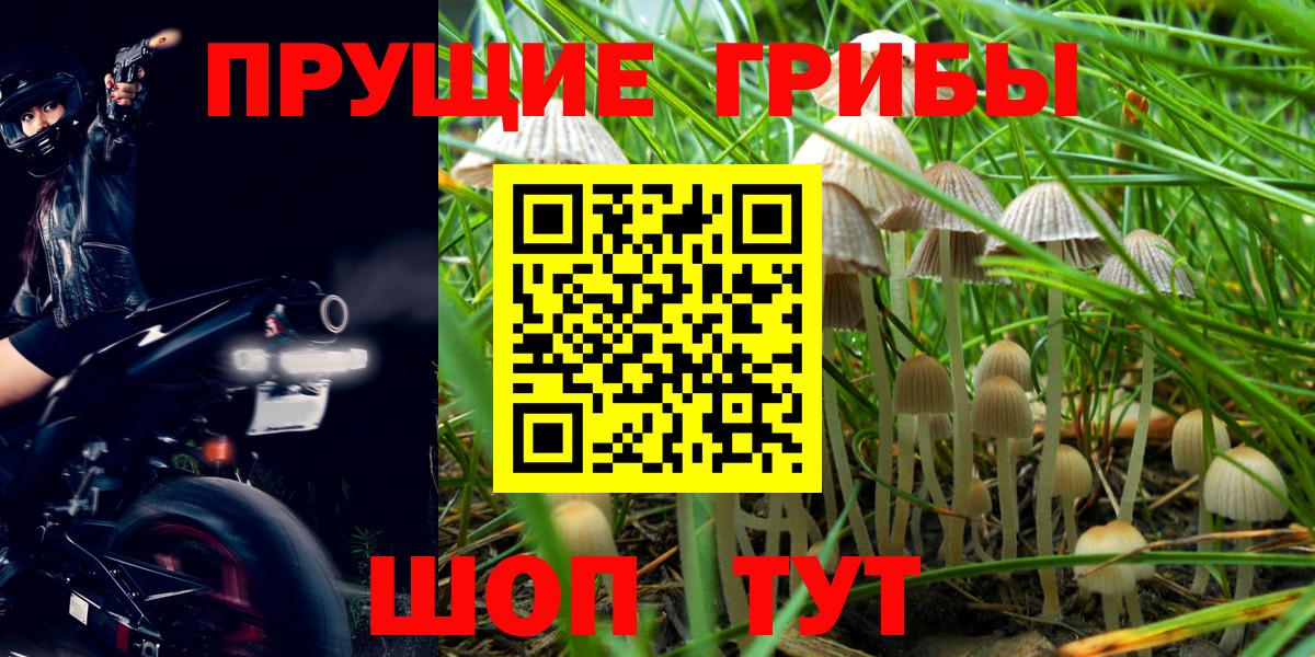 Краснокаменск  Псилоцибиновые грибы ЛСД  Вход с VPN  Псилоцибиновые грибы GOLDEN TEACHER 