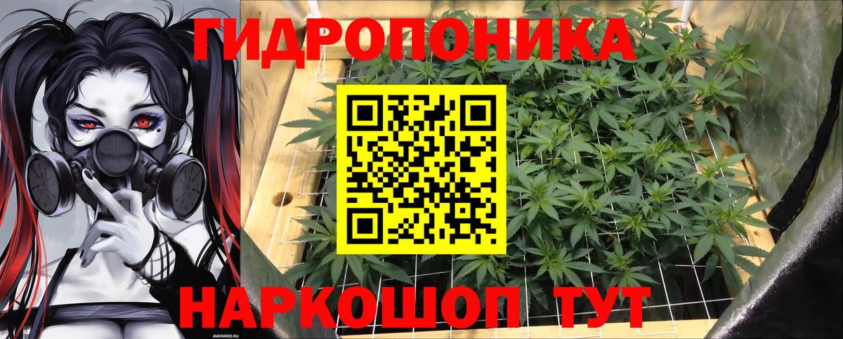 Марихуана план  Бошки марихуана планчик  Марихуана Bruce Banner  Краснокаменск  Вход с VPN 